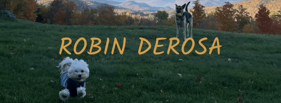 Robin DeRosa